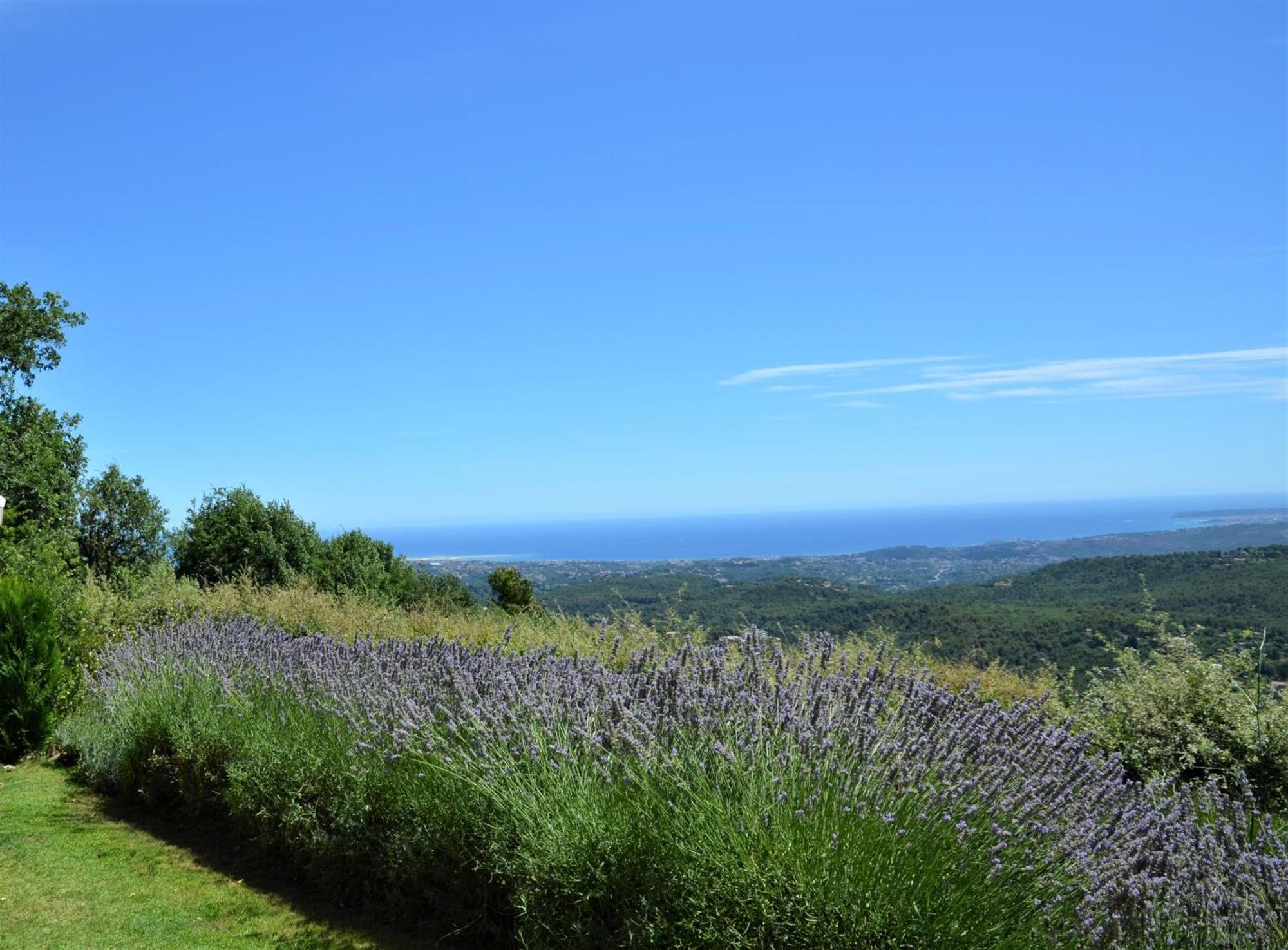 La Bastide Des Pins Bed & Breakfast Vence Exterior photo